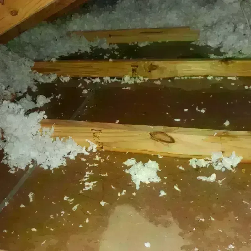 Attic Water Damage in Lamont, CA