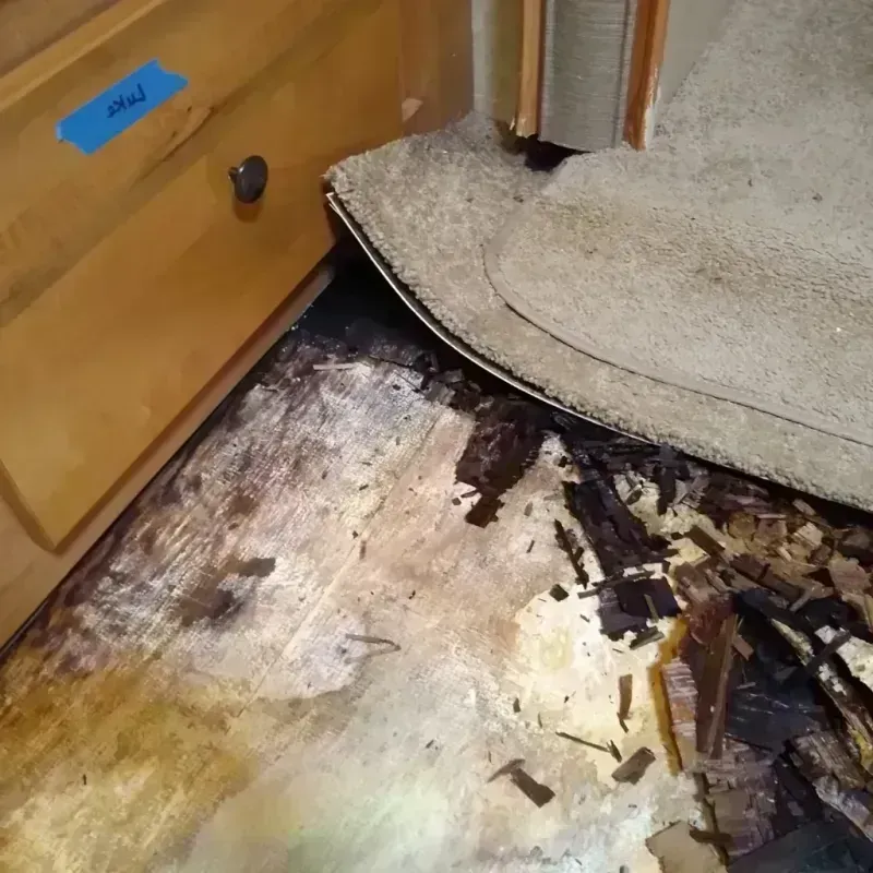 Wood Floor Water Damage in Lamont, CA